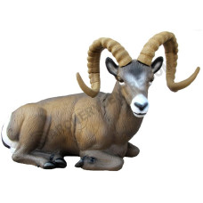 SRT Rocky Mountain sheep bedded